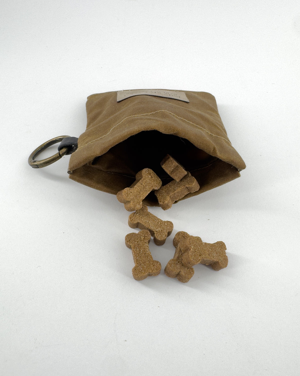 Otto - Camel